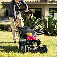 Kiedy zacząć kosić trawę? Poradnik + kosiarki Honda